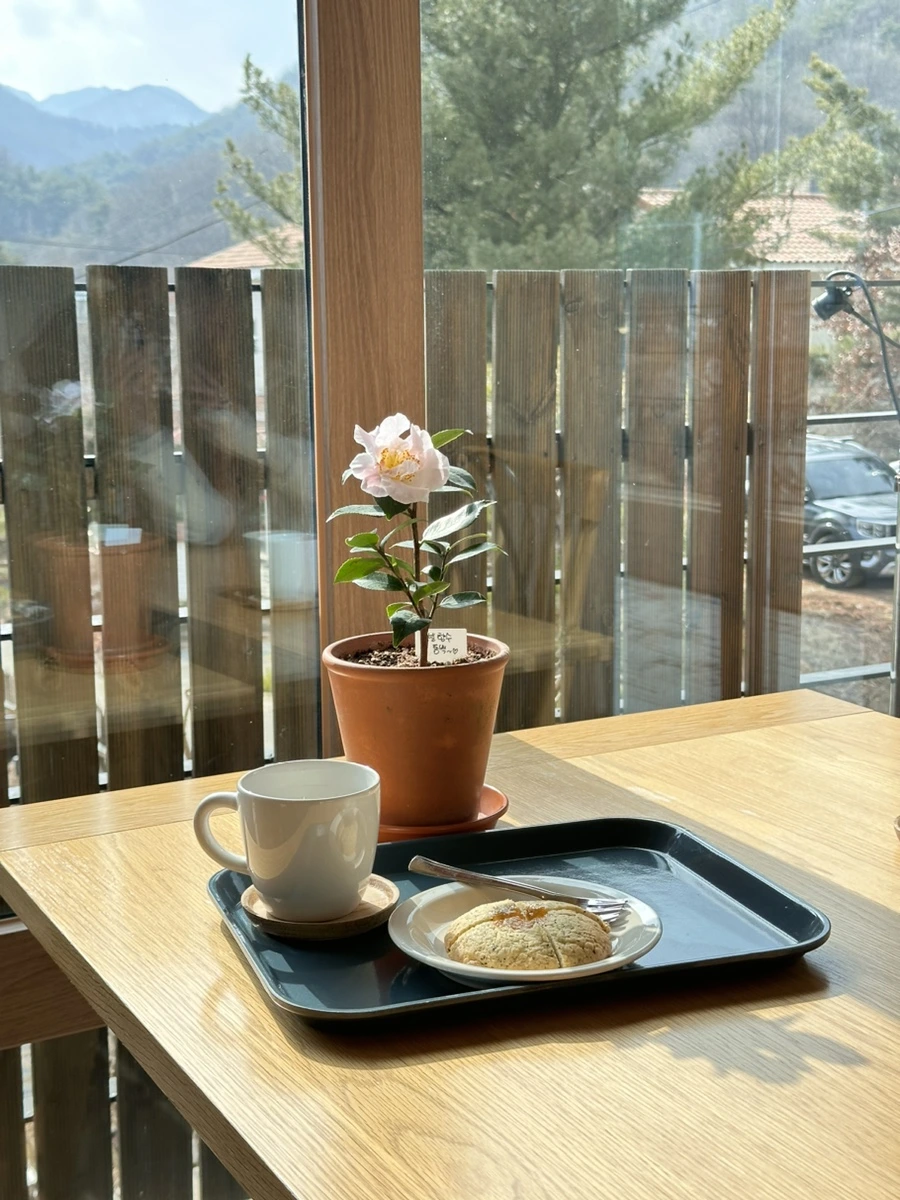 IMG_7392.jpg?type=w1