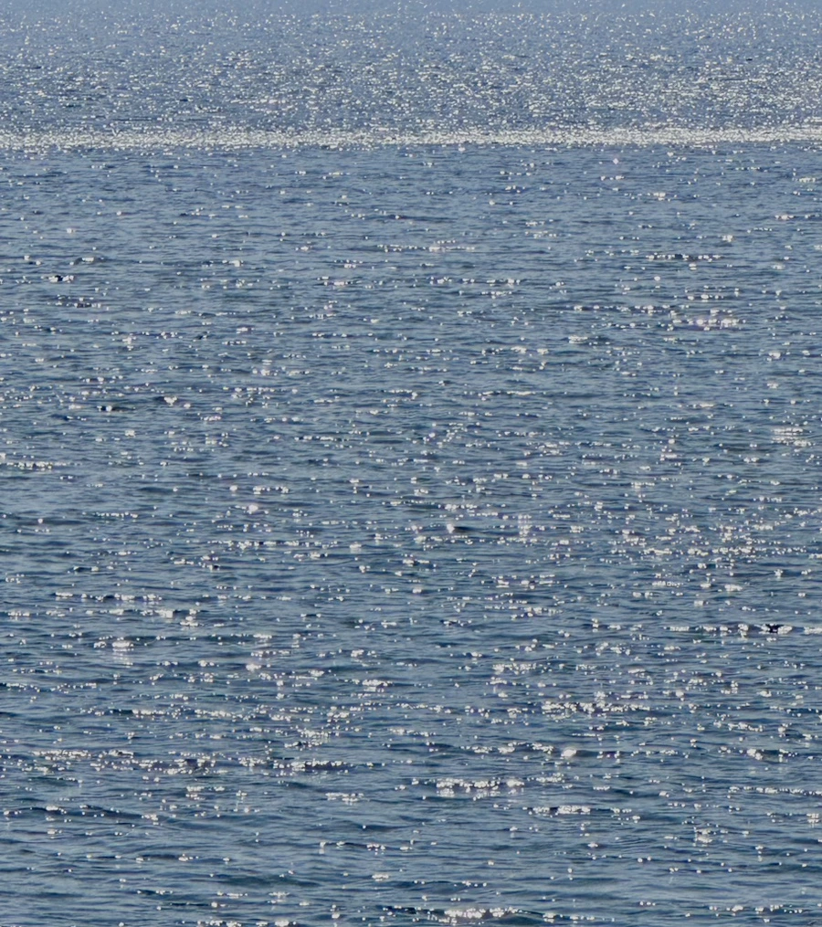 IMG_5080.jpg?type=w1