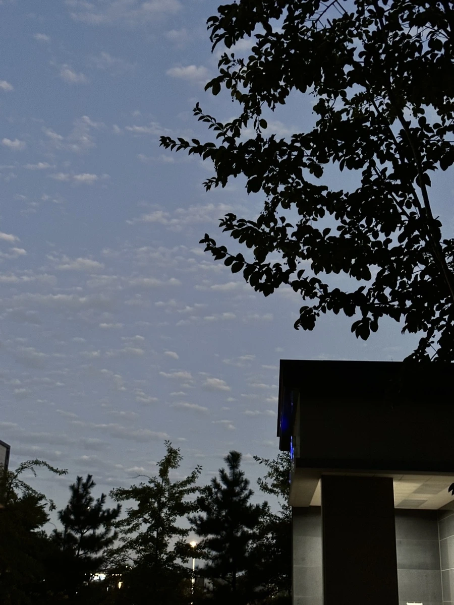 IMG_6674.jpg?type=w1