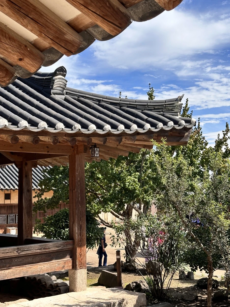 IMG_6553.jpg?type=w1