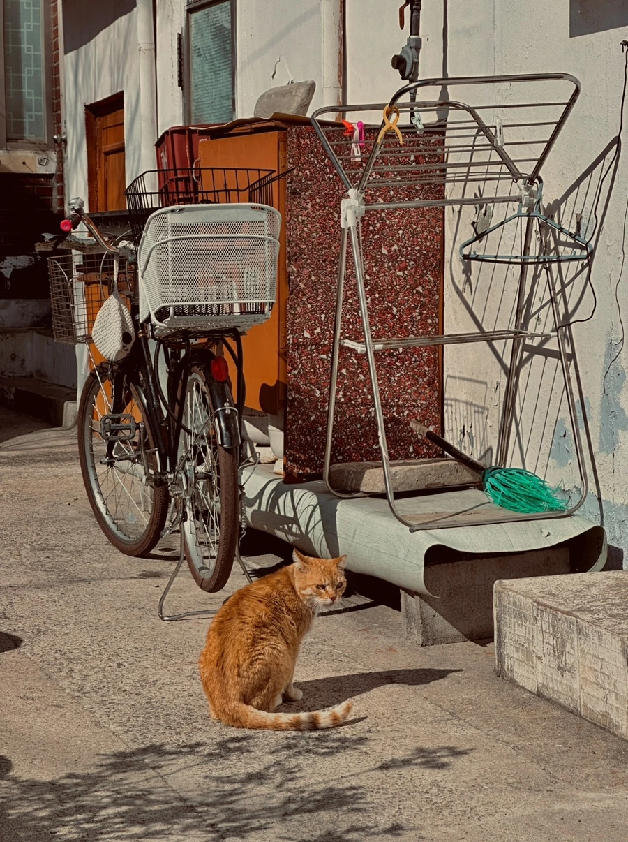 IMG_7488.jpg?type=w1