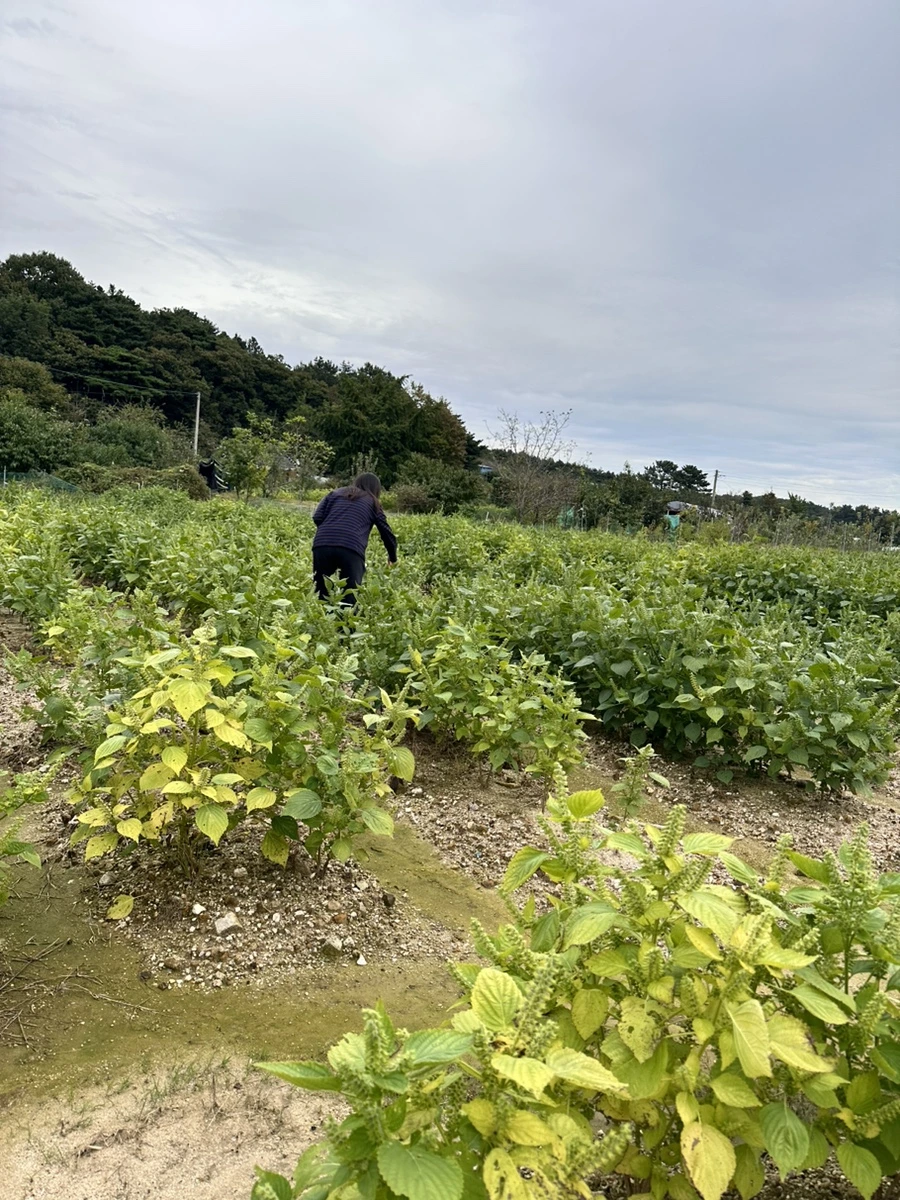 IMG_6672.jpg?type=w1