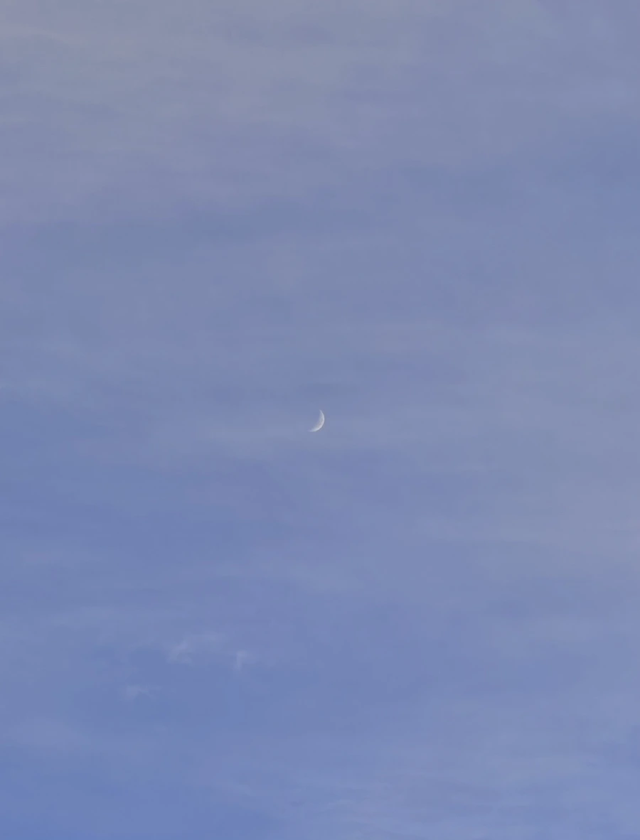 IMG_7309.jpg?type=w1