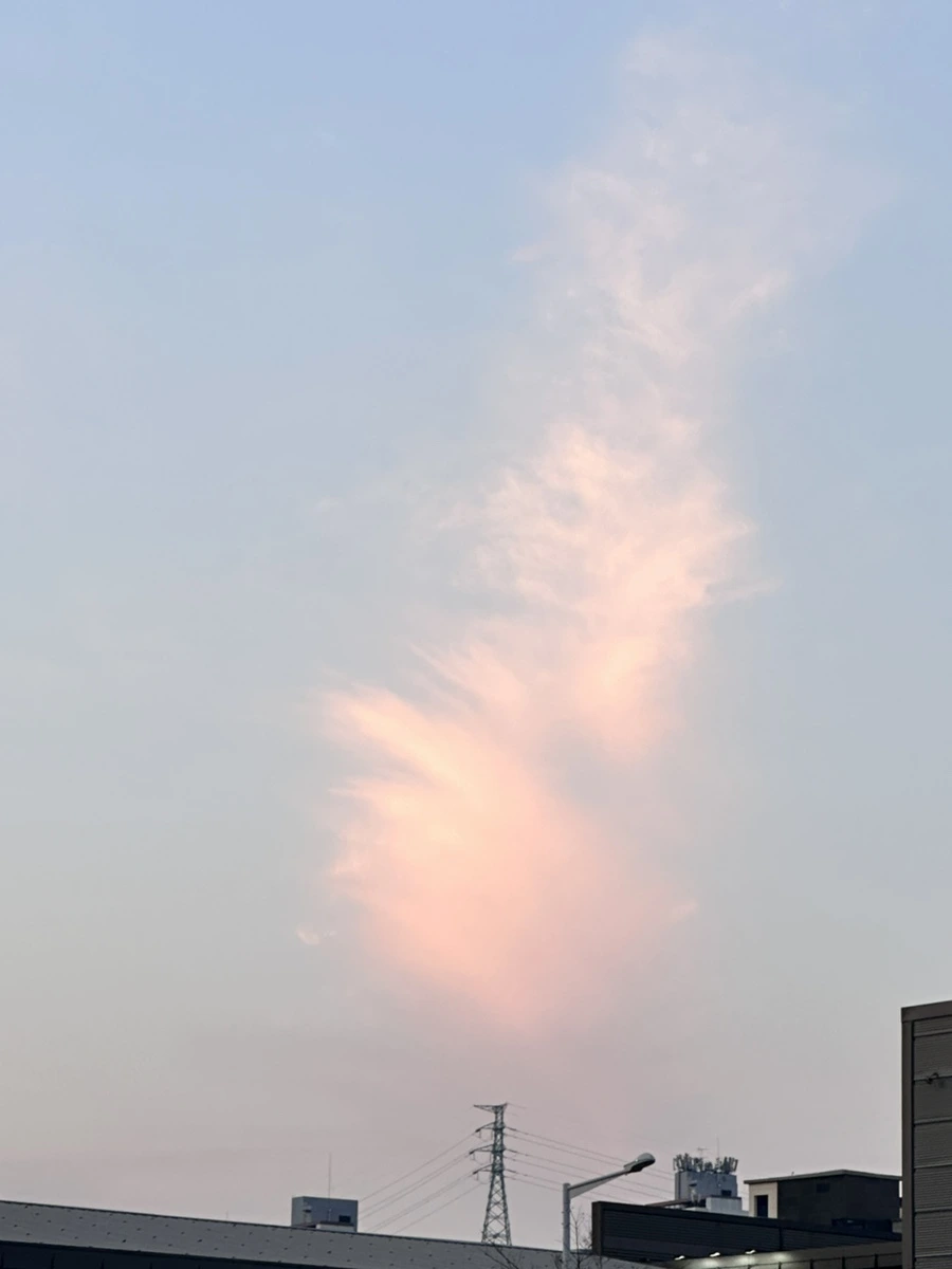 IMG_7381.jpg?type=w1