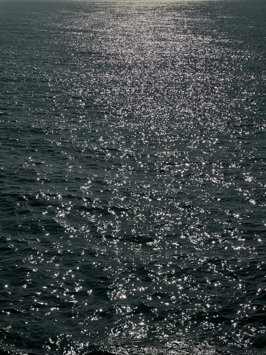 IMG_3010.jpg?type=w1