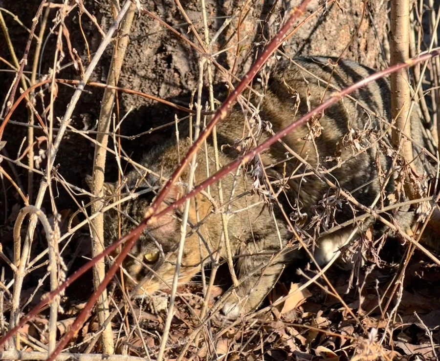 SE-8DA1EE16-2BEB-49C6-9FEE-F8E586E2DACD.jpg?type=w1