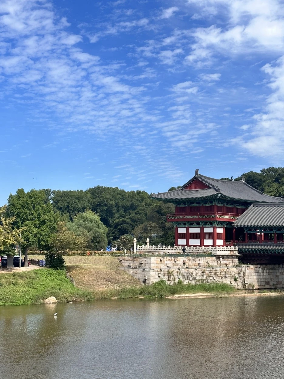 IMG_6534.jpg?type=w1