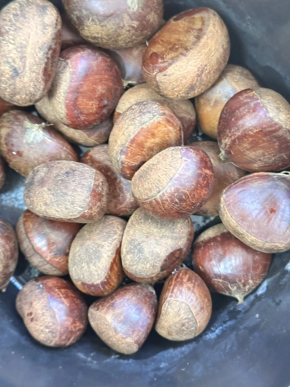 IMG_6652.jpg?type=w1