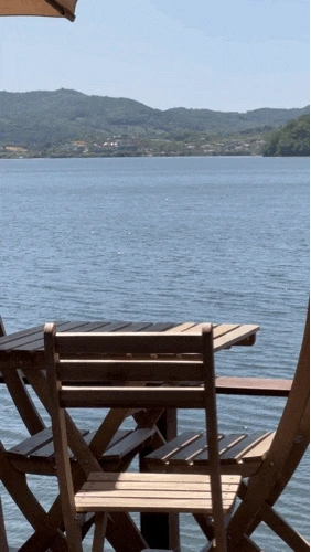 2957259265.gif?type=w1