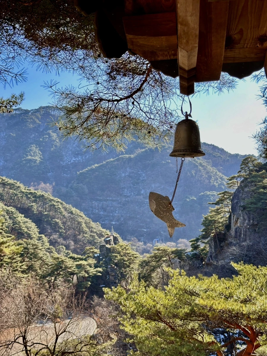 IMG_7208.jpg?type=w1