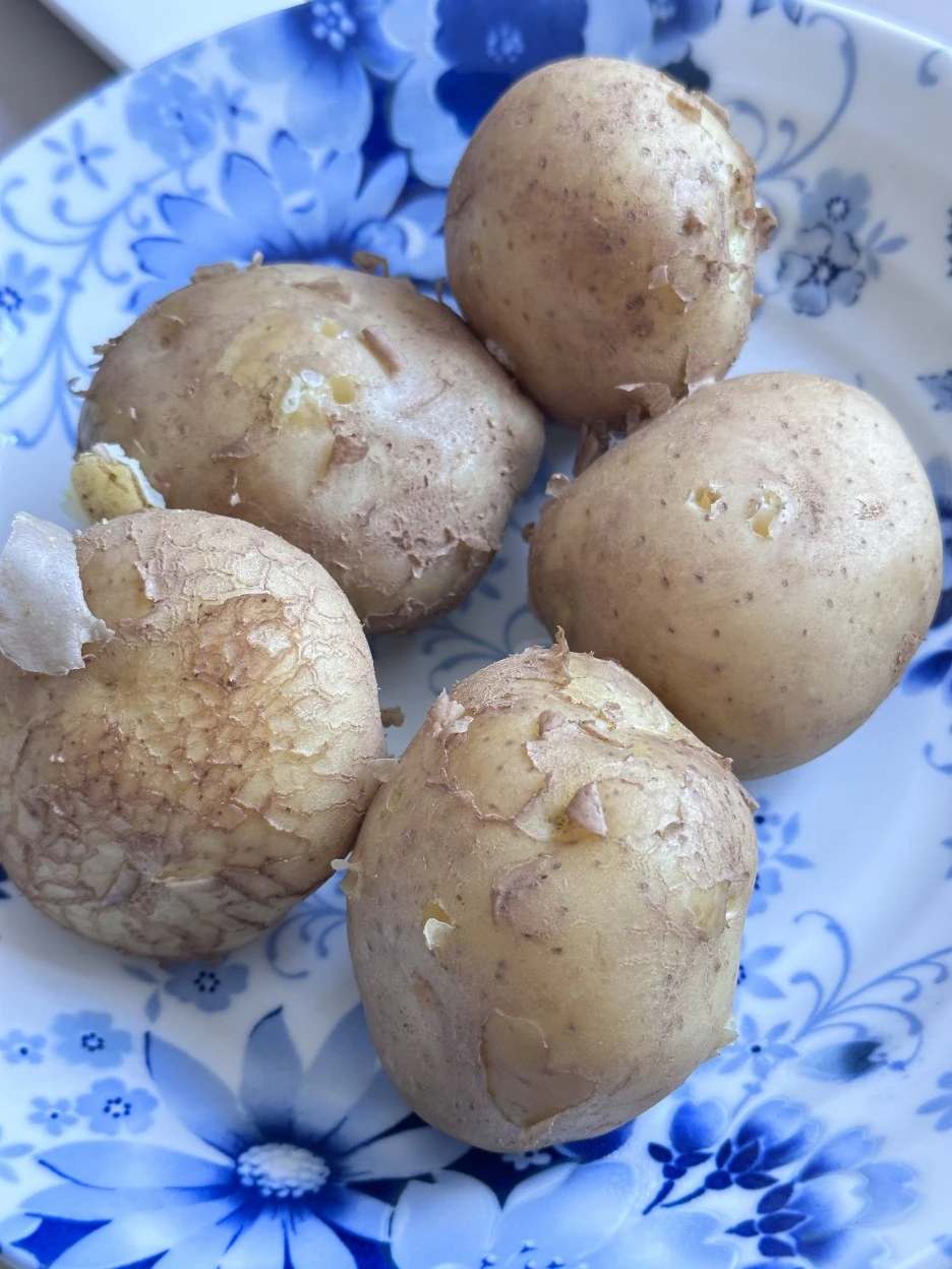 IMG_5392.jpg?type=w1