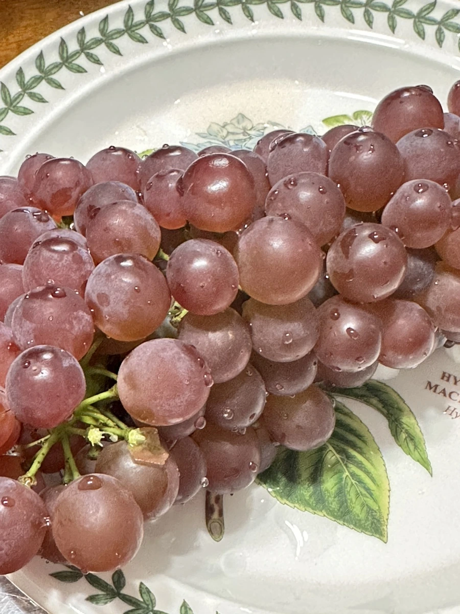 IMG_5471.jpg?type=w1