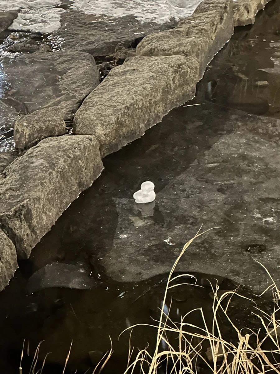 IMG%EF%BC%BF9464.jpg?type=w1