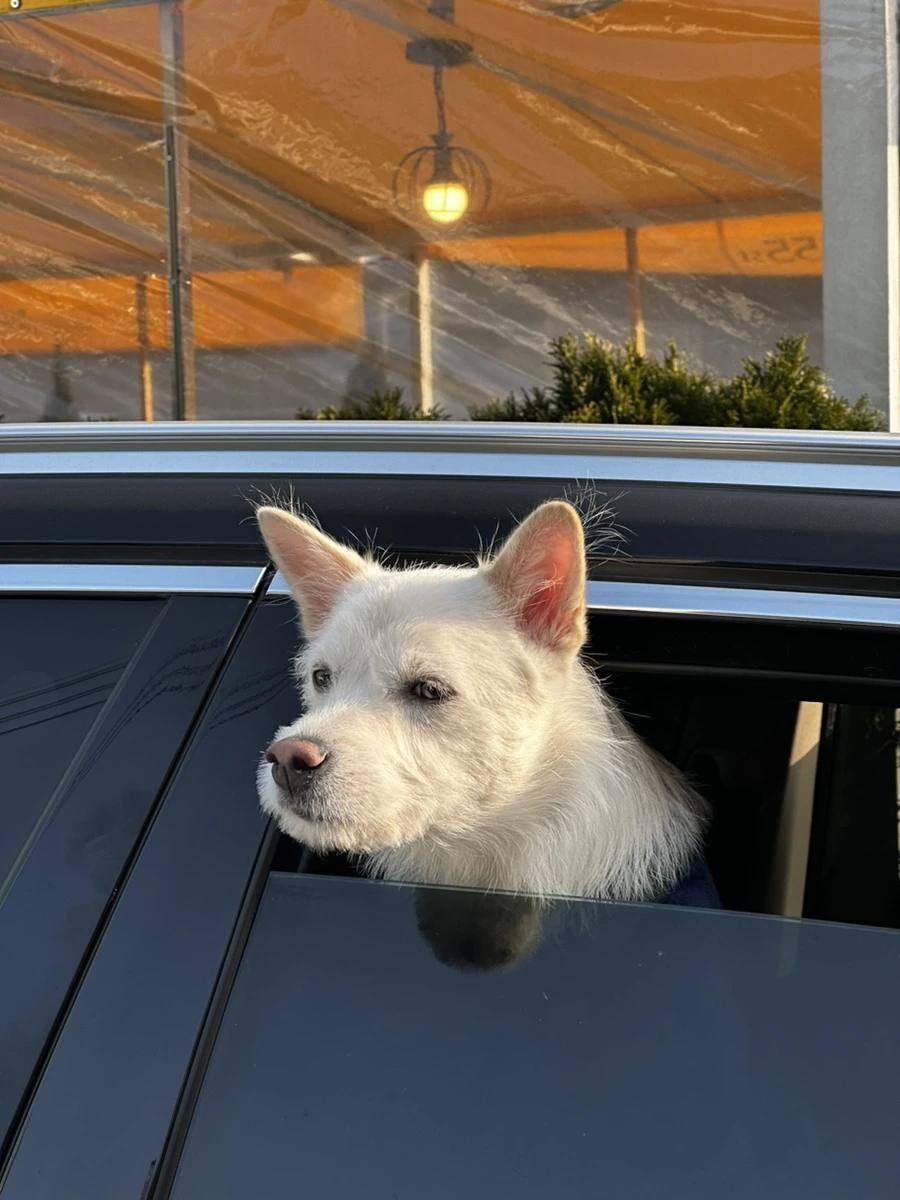 IMG_9079.jpg?type=w1