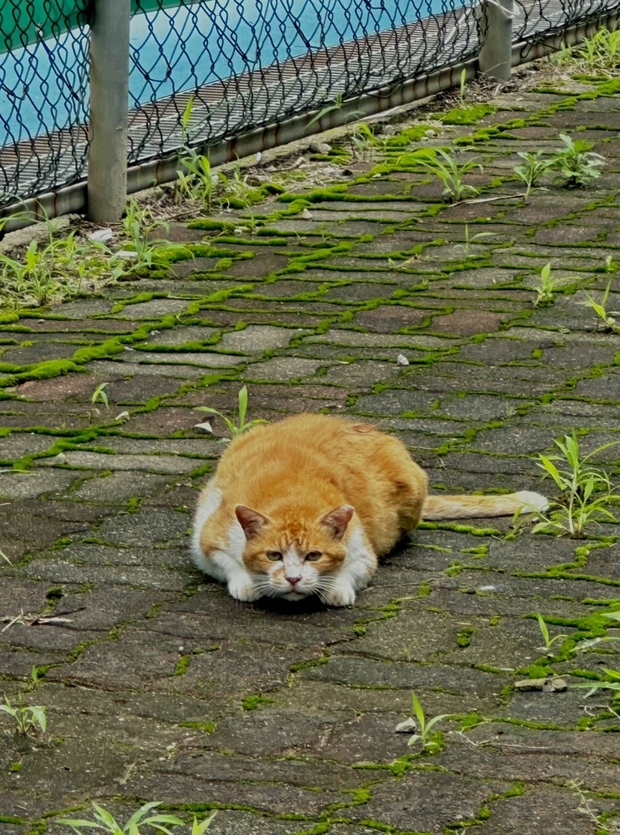 IMG_9954.jpg?type=w1