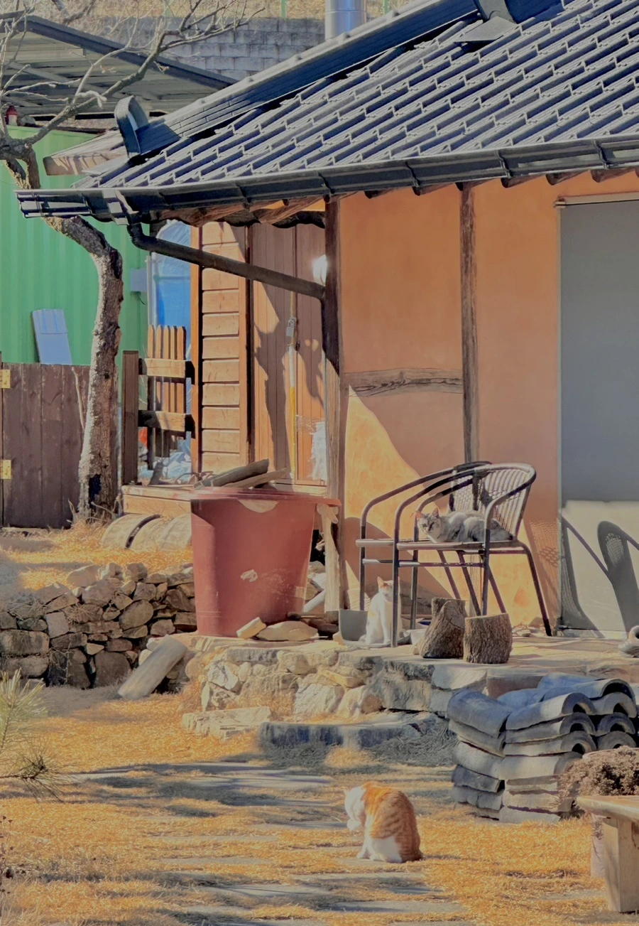 IMG_7476.jpg?type=w1