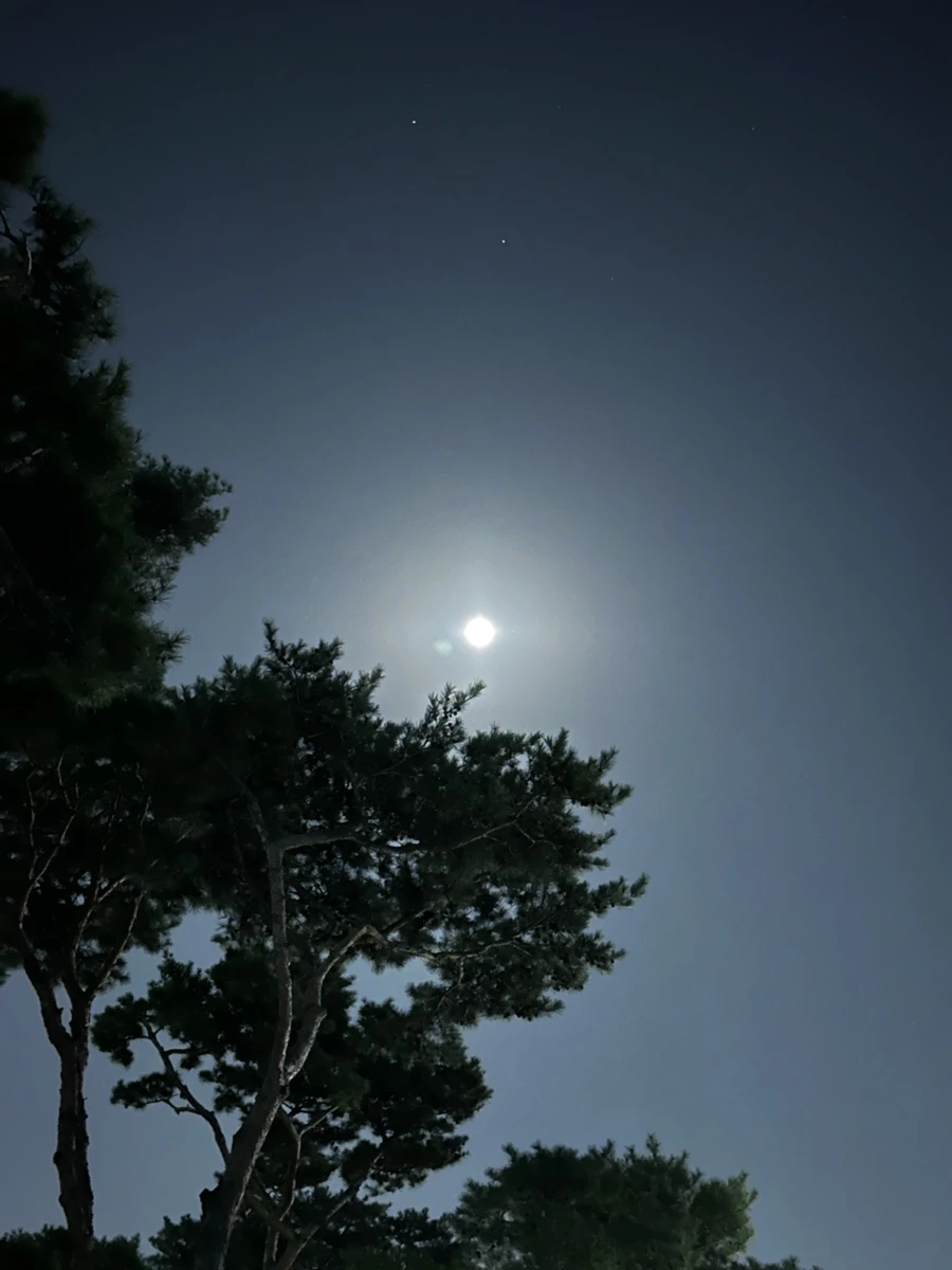 IMG_9081.jpg?type=w1