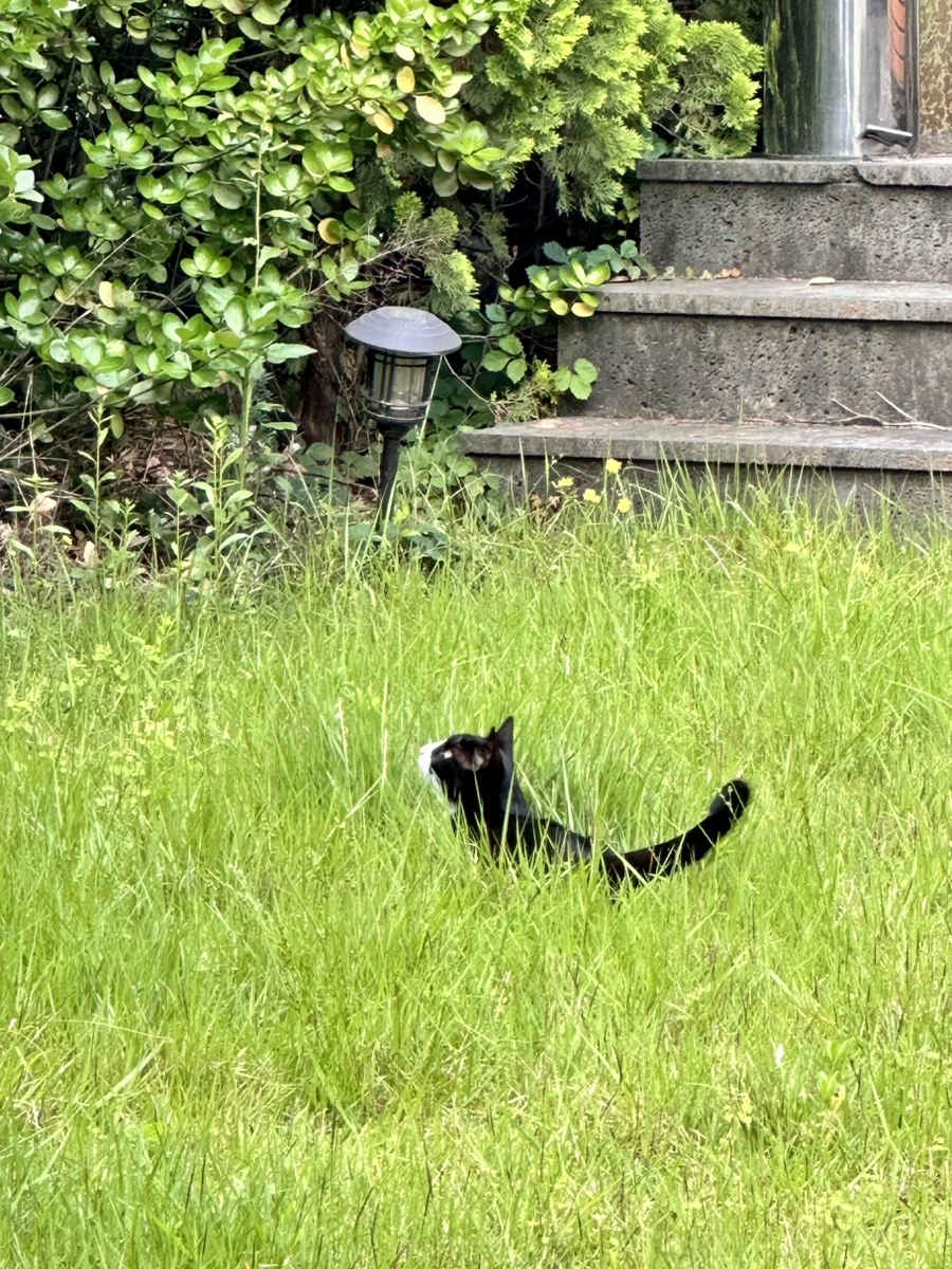 IMG_5027.jpg?type=w1