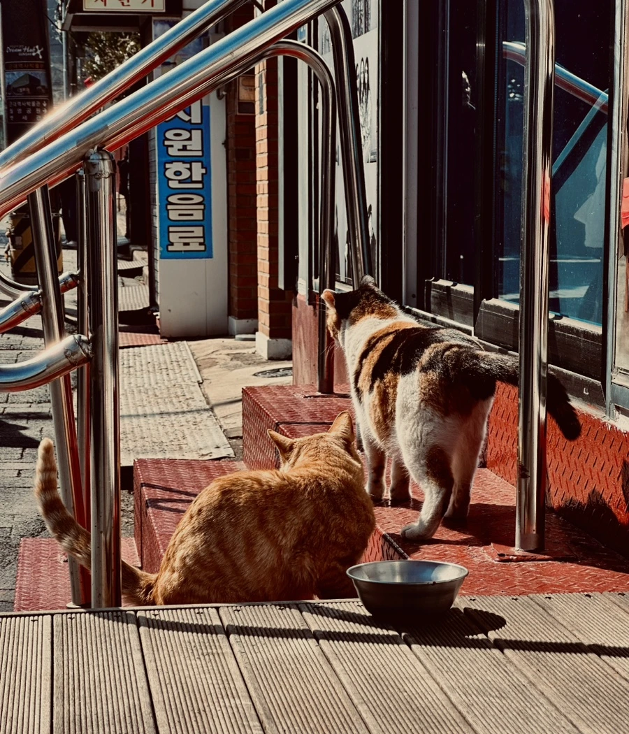 IMG_7505.jpg?type=w1