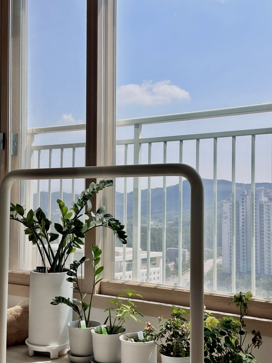 IMG_5390.jpg?type=w1