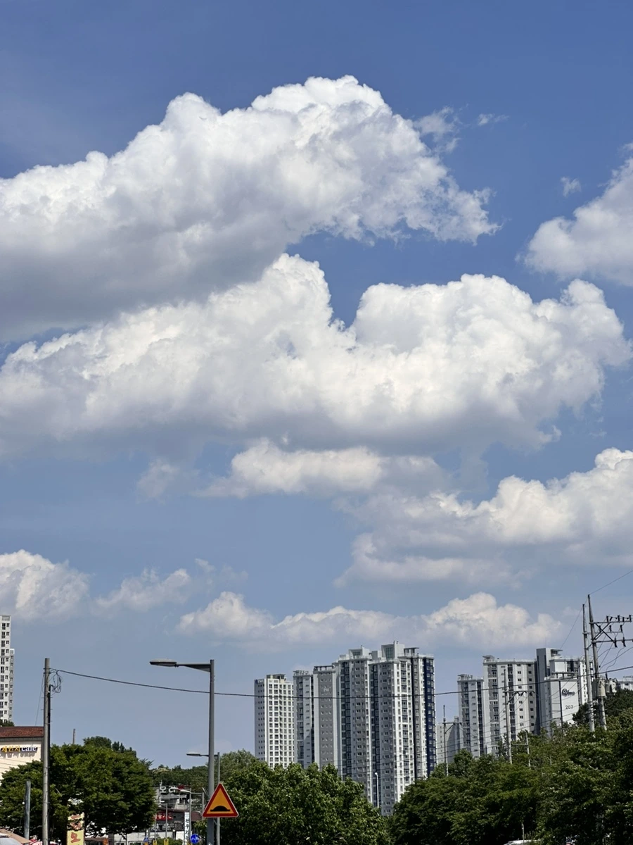 IMG_5095.jpg?type=w1