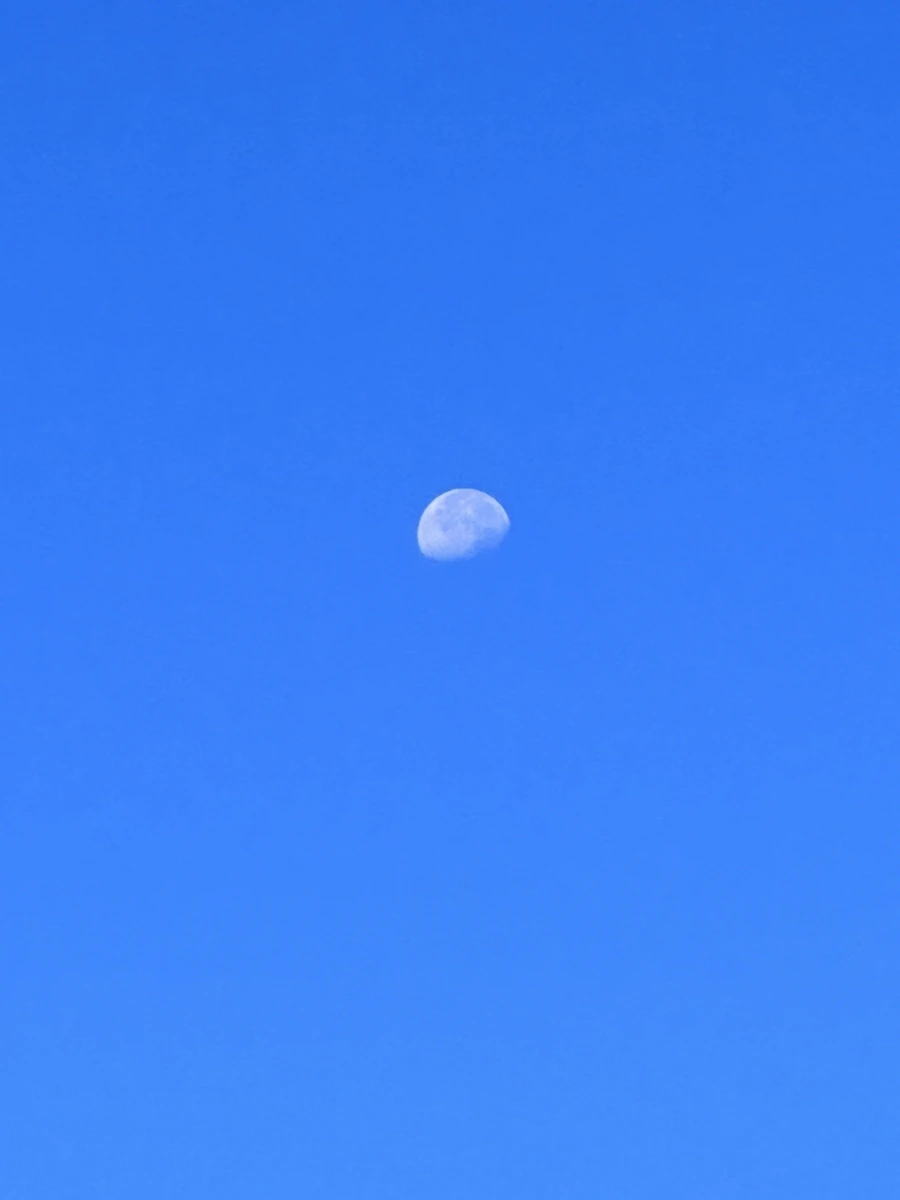 IMG_6678.jpg?type=w1