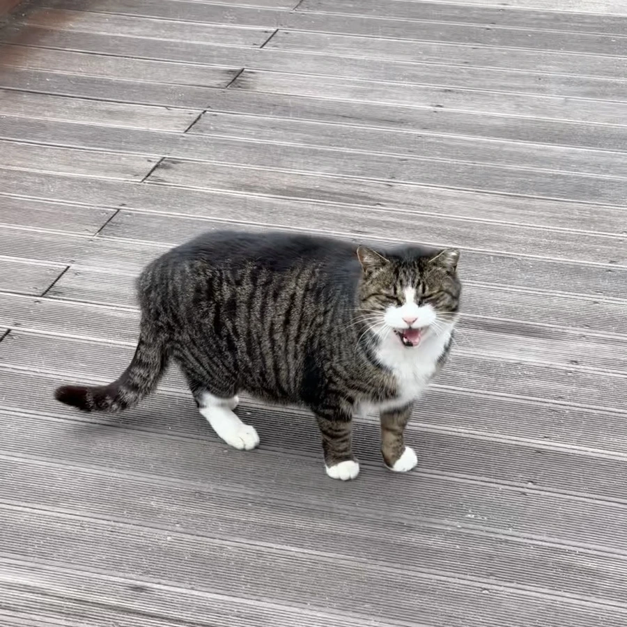 IMG_7468.jpg?type=w1