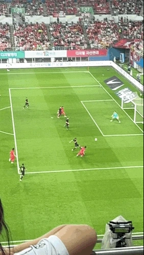 3089510610.gif?type=w1