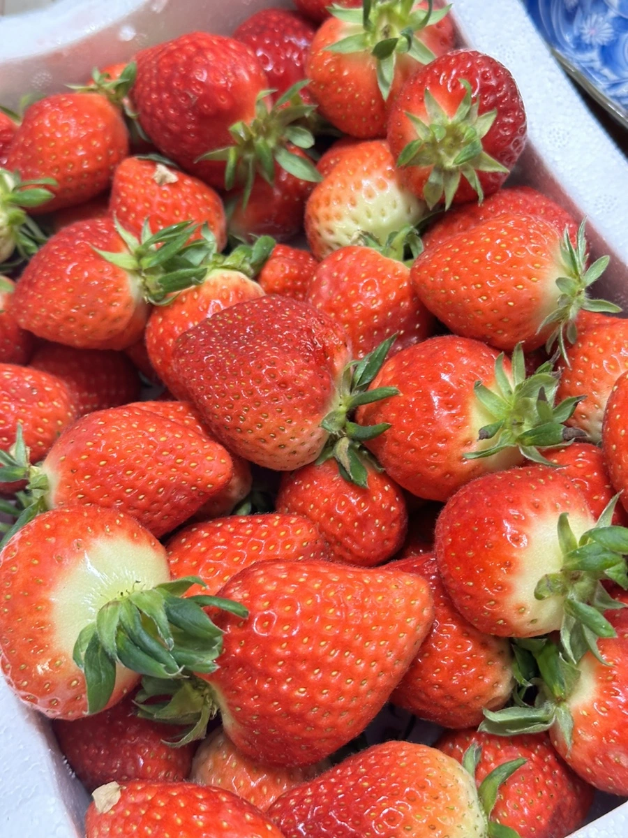 IMG_7616.jpg?type=w1