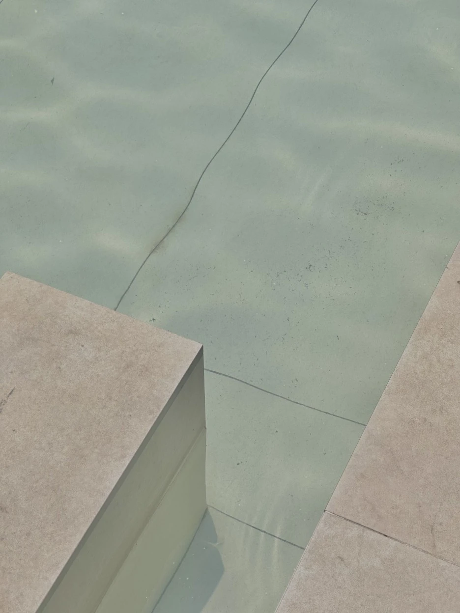 IMG_5221.jpg?type=w1