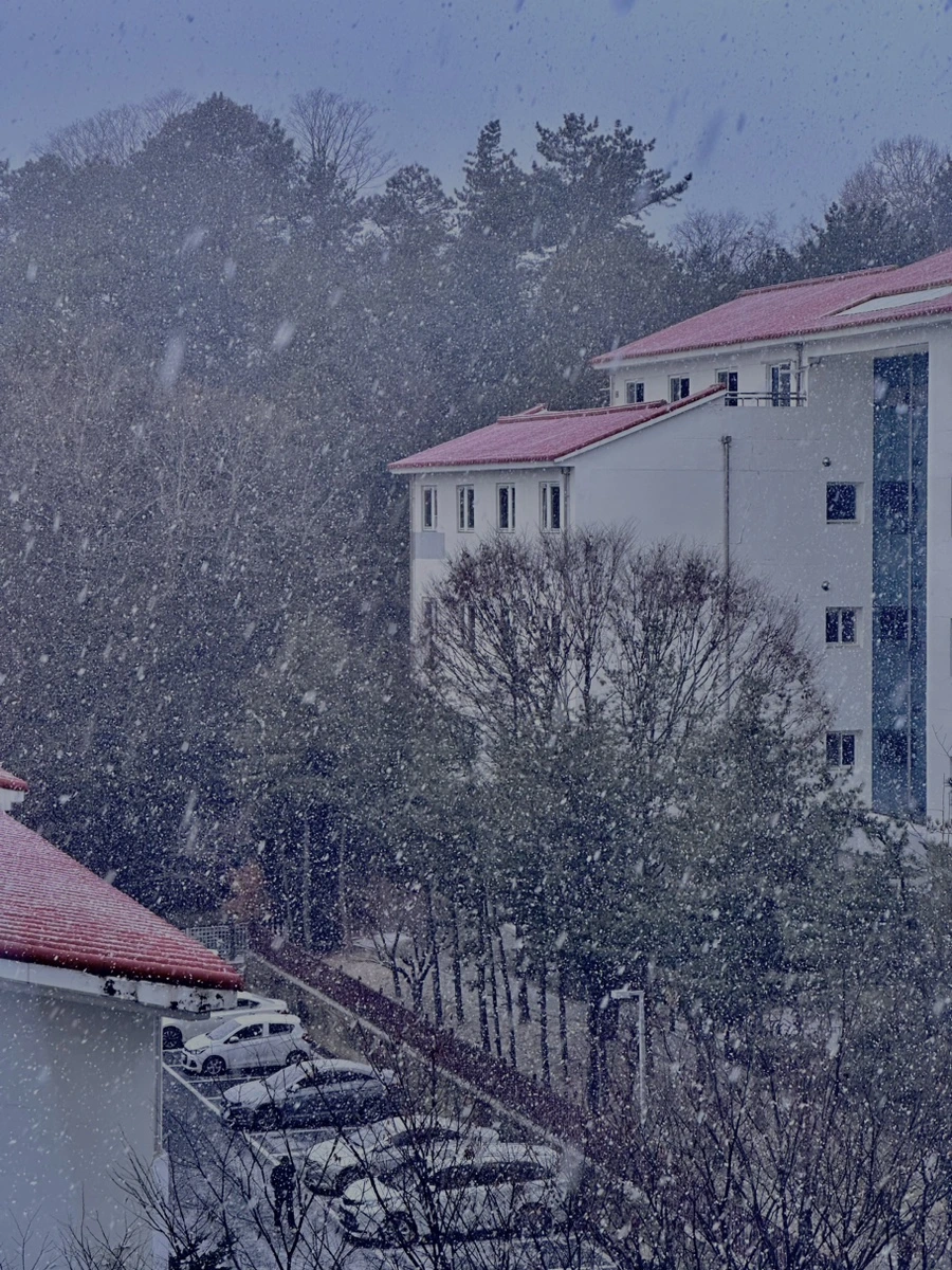 IMG_7344.jpg?type=w1