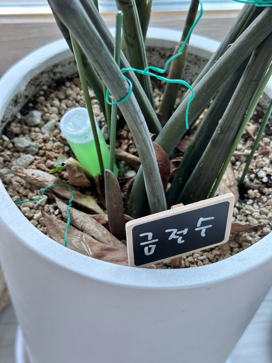 IMG_5489.jpg?type=w1