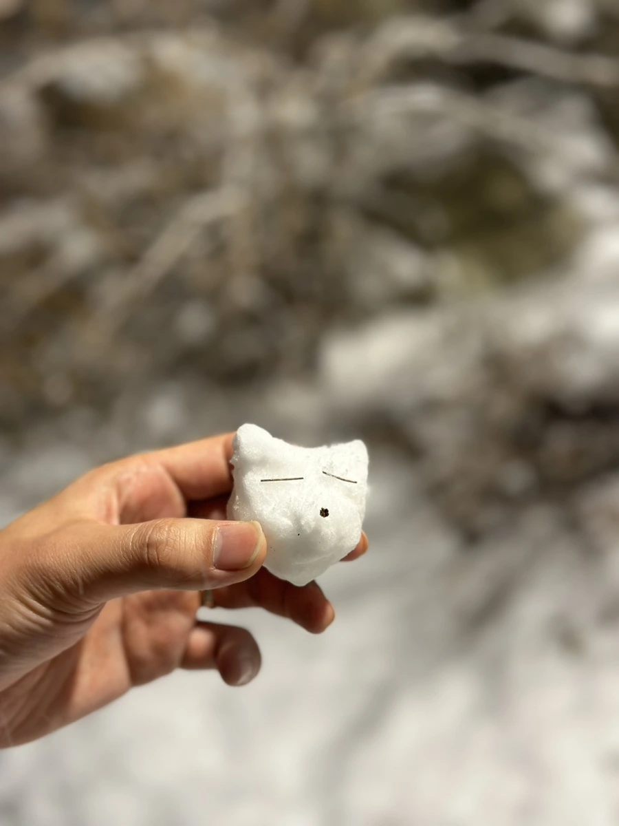 IMG_2399.jpg?type=w1