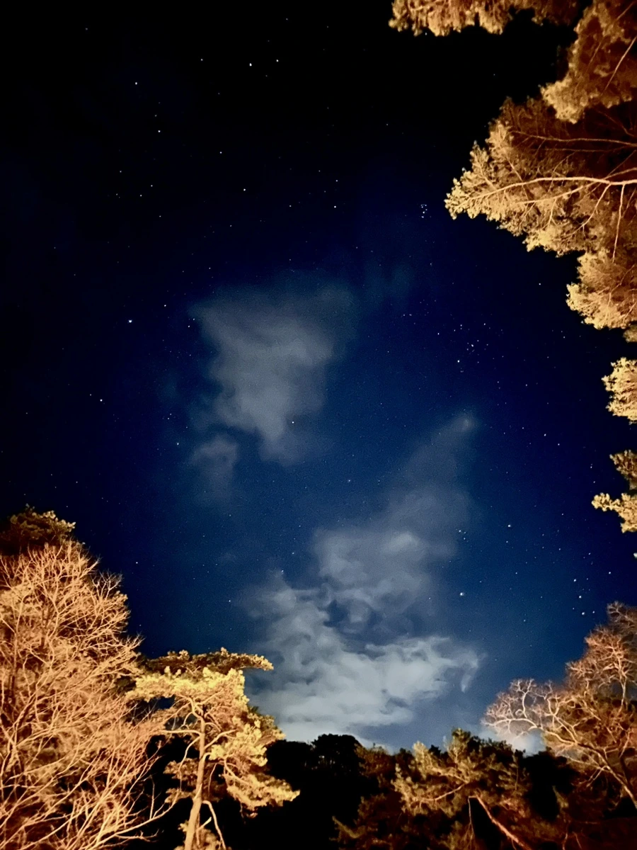 IMG_7221.jpg?type=w1