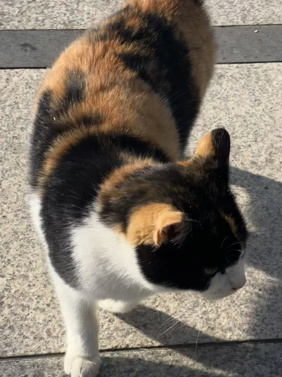 IMG_2965.jpg?type=w1