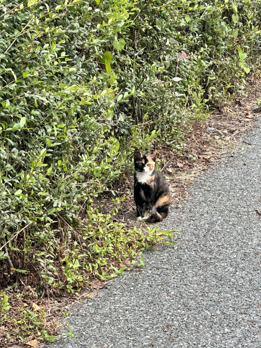 IMG_6691.jpg?type=w1