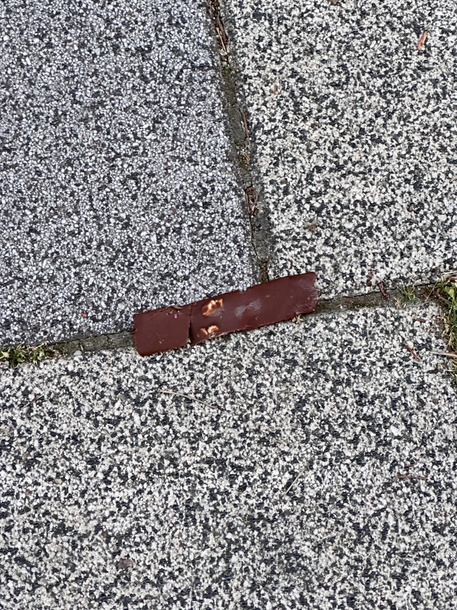 IMG_5365.jpg?type=w1