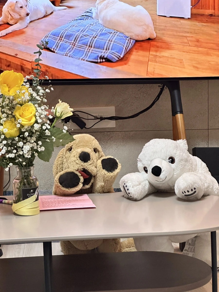 IMG_7597.jpg?type=w1