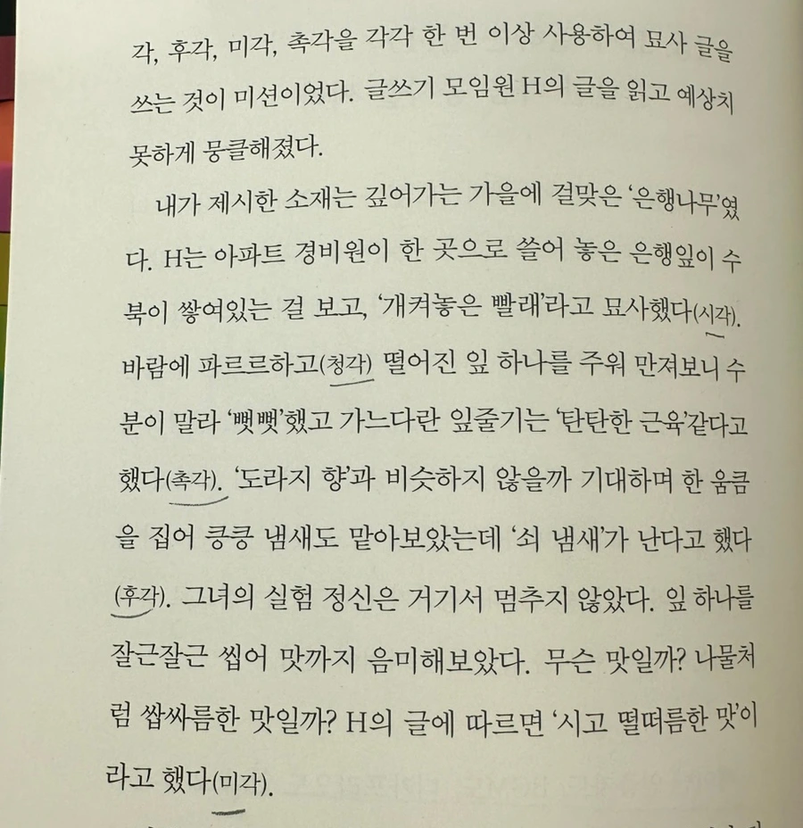 SE-DB9802D7-18DF-474F-9D88-B7B752F8E14D.jpg?type=w1