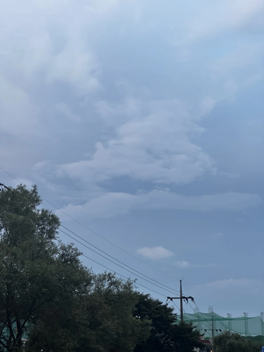 IMG_9982.jpg?type=w1