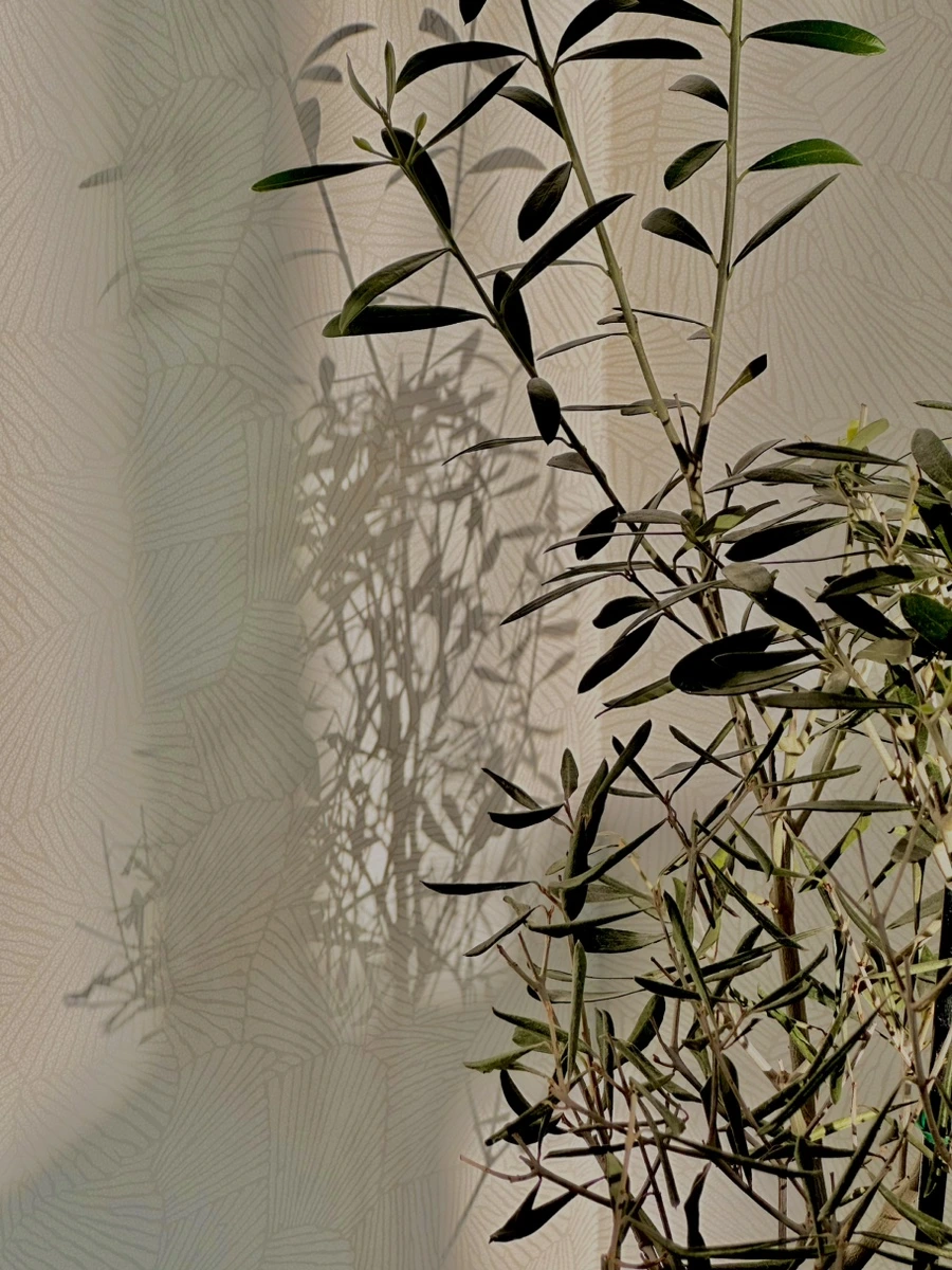 IMG_7480.jpg?type=w1