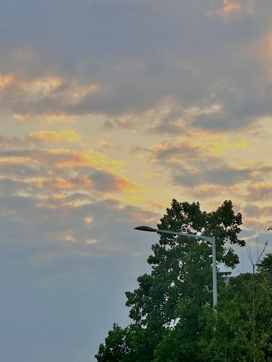 IMG_5346.jpg?type=w1