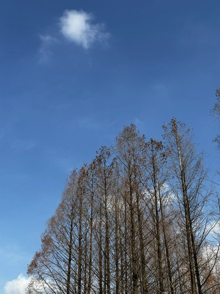 IMG_9262.jpg?type=w1