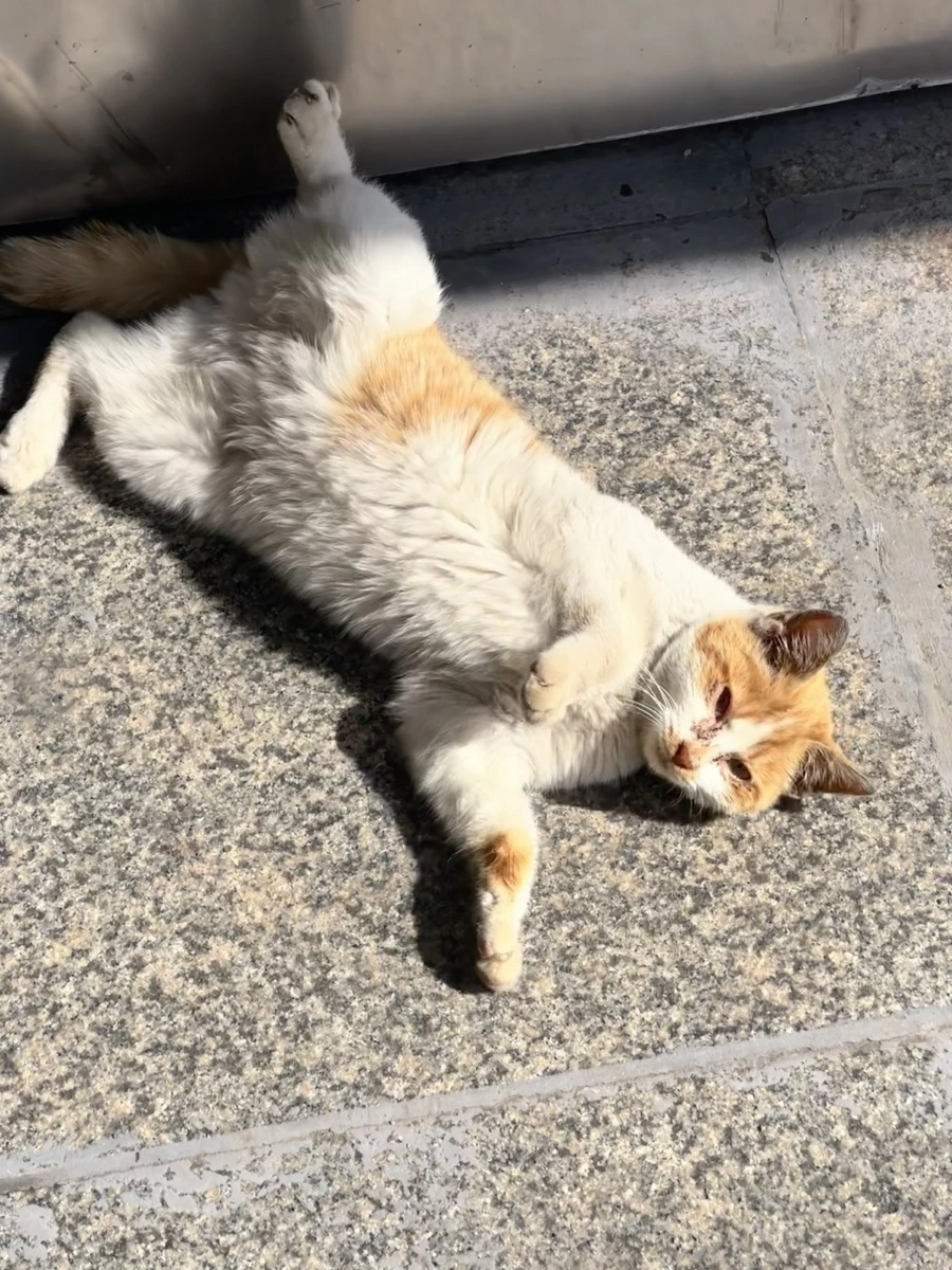 IMG_7594.jpg?type=w1