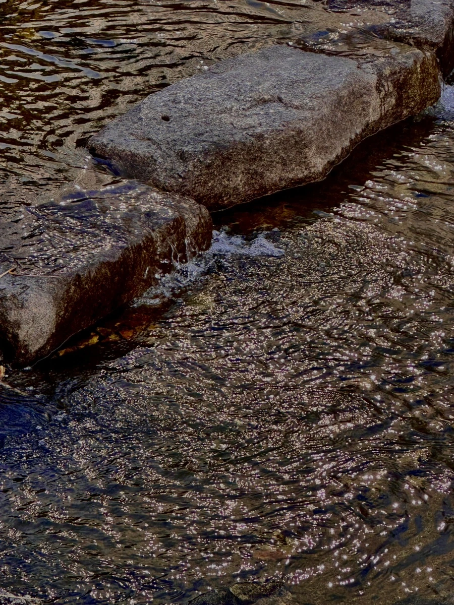 IMG_7467.jpg?type=w1