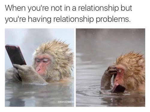 animal-not-relationship-but-having-relationship-problems-omarsel-van-oo