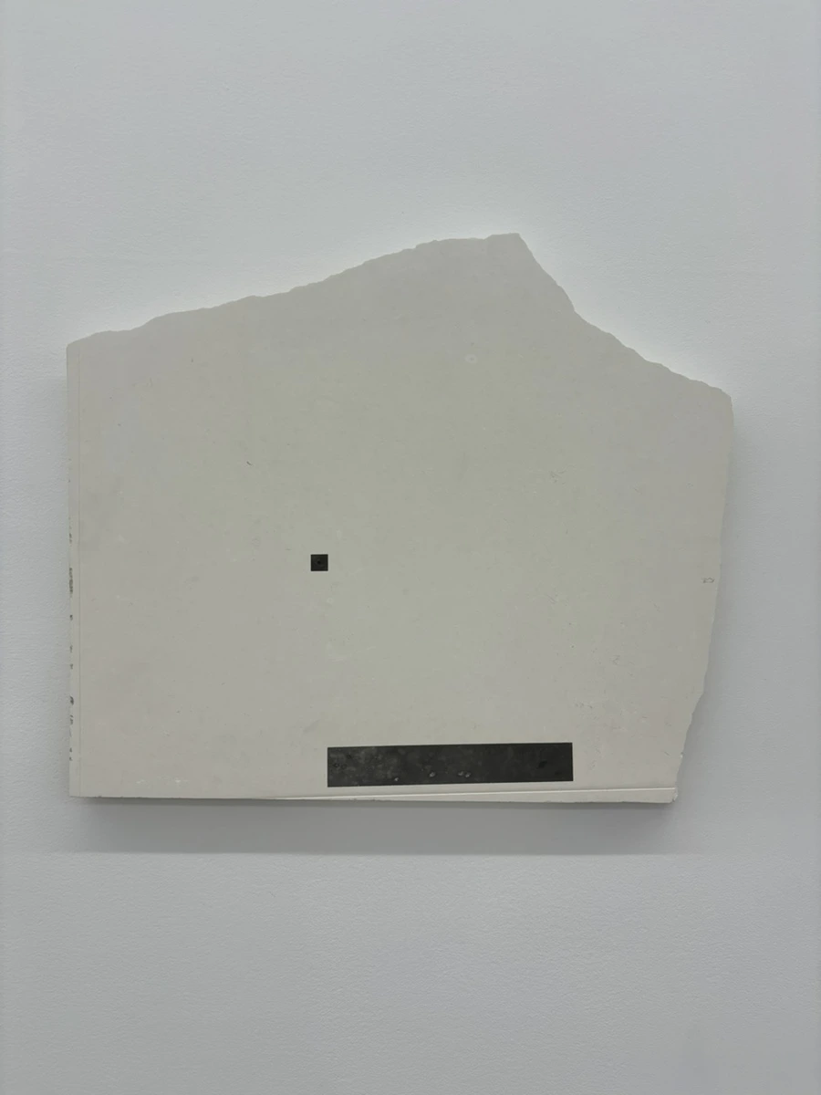 IMG_1629.jpg?type=w1