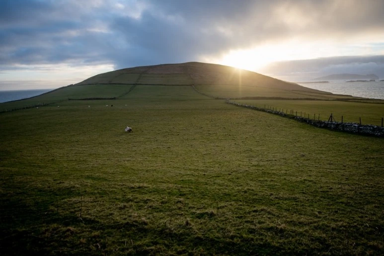 photo-1553706348-62ddb2e659d3.jpg?type=w773