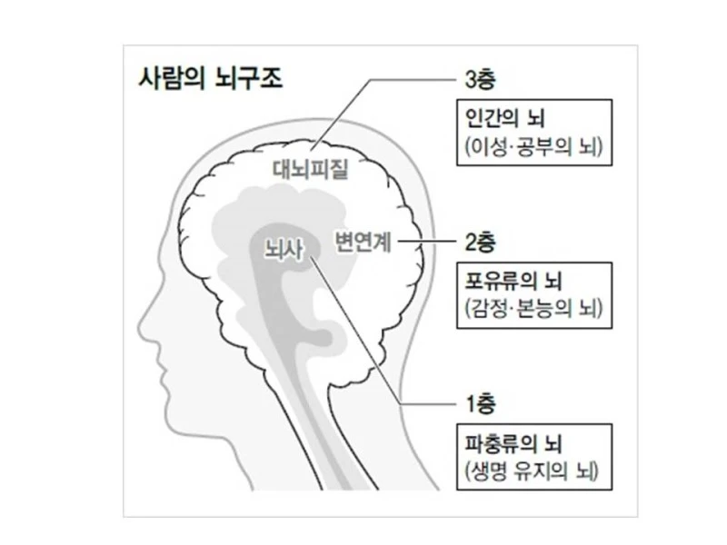 %EC%8A%AC%EB%9D%BC%EC%9D%B4%EB%93%9C3.JPG?type=w800