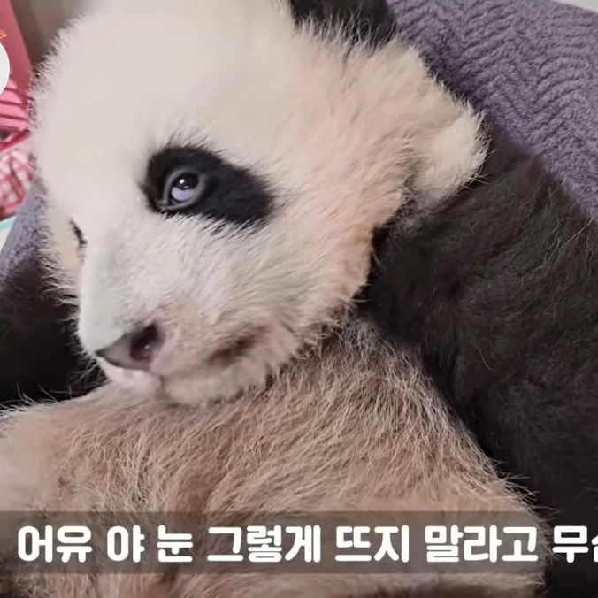 b47fbc9d21ad34b71ccfea2c9898e3e4d211db97.jfif